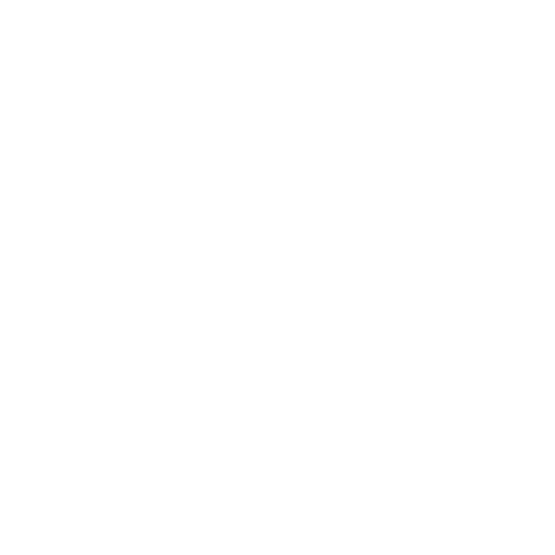 White Google Icon